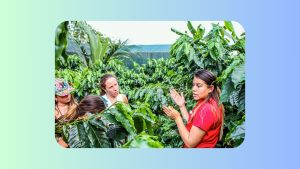 Don Juan Coffee Tour Costa Rica