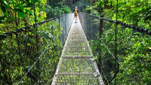 Is February a Good Time to Visit Costa Rica
