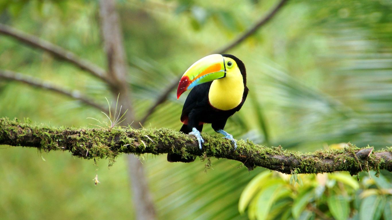 Is June a Good Time to Visit Costa Rica
