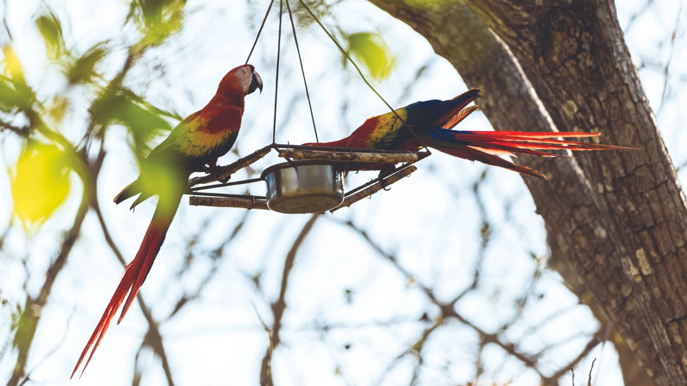 Is Costa Rica a Good Place to Visit?