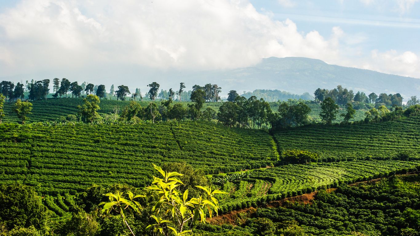 Is July a Good Time to Visit Costa Rica?