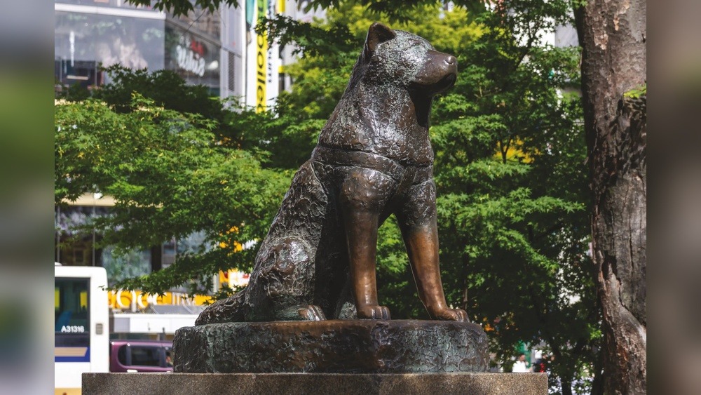 Akita City Guide: Unveiling Hidden Gems & Attractions