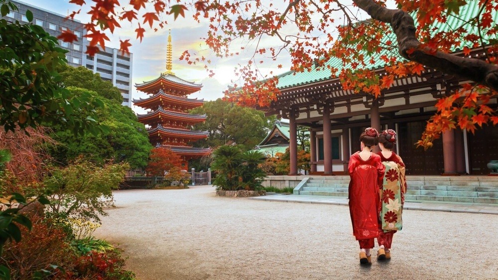 Asakura City: Unveiling Hidden Gems and Culture