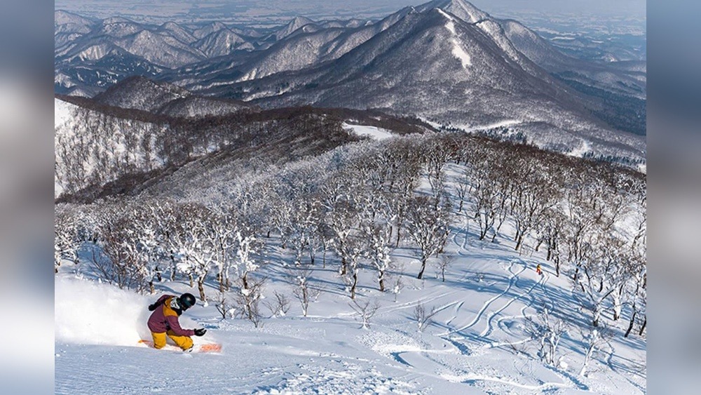 Budget Airline to Japan: Affordable Adventures Await