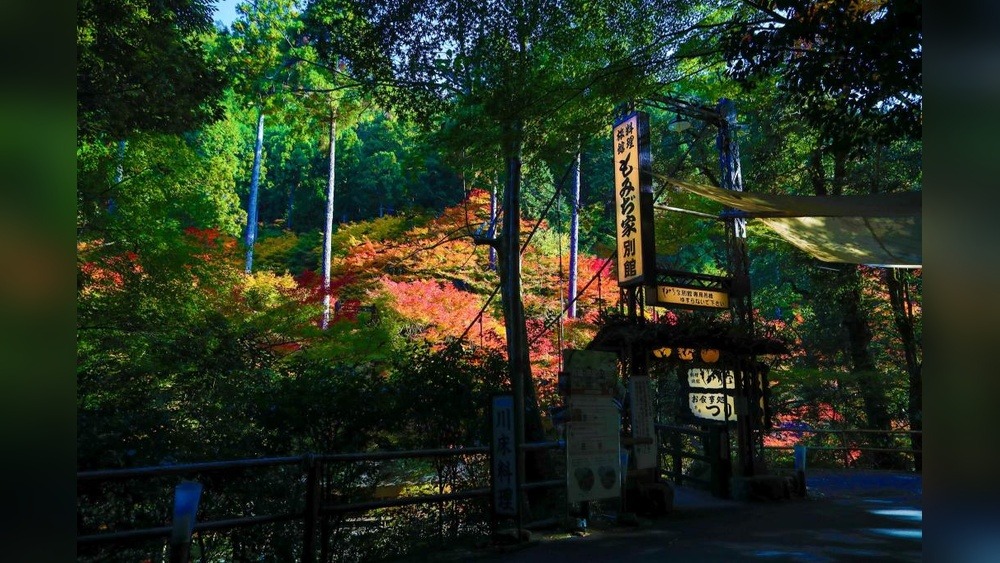 Car Rental Osaka: Explore Japan's Gem with Ease