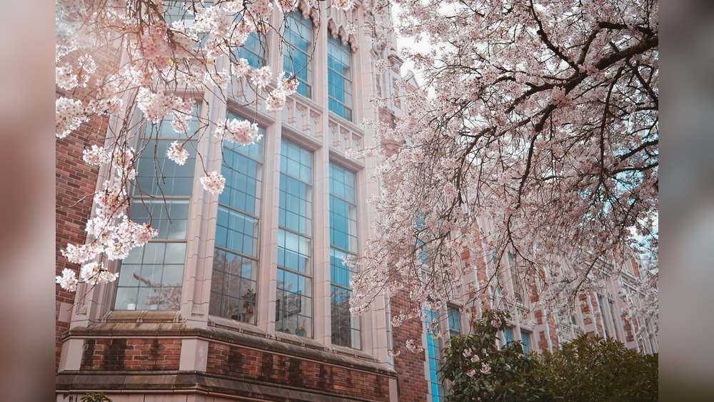 Courses Available in English for Studying in Japan: Ultimate Guide