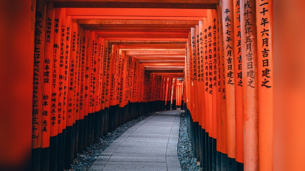 Does the US Have a Working Holiday Visa With Japan? Find Out Now!