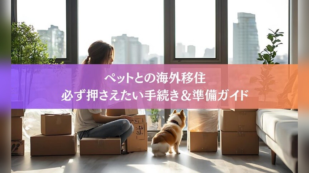 How to Start a Life in Japan: A Fresh Start Guide