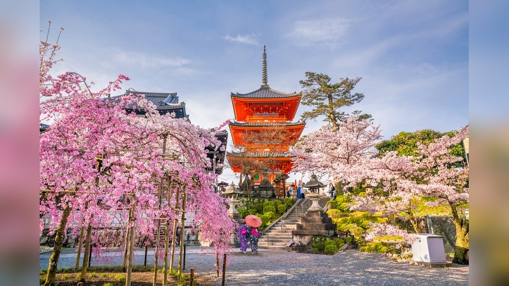 Is It Safe to Travel to Japan in June? Insider Tips!
