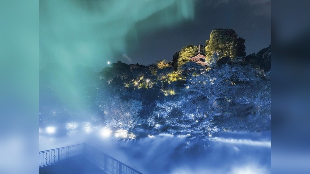 Luxury Hotels in Shinjuku Tokyo: Unparalleled Elegance Awaits