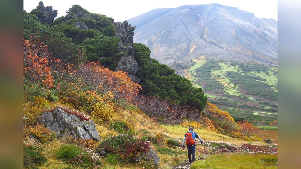 Mount Asahidake Hiking: Trails, Tips & Scenery