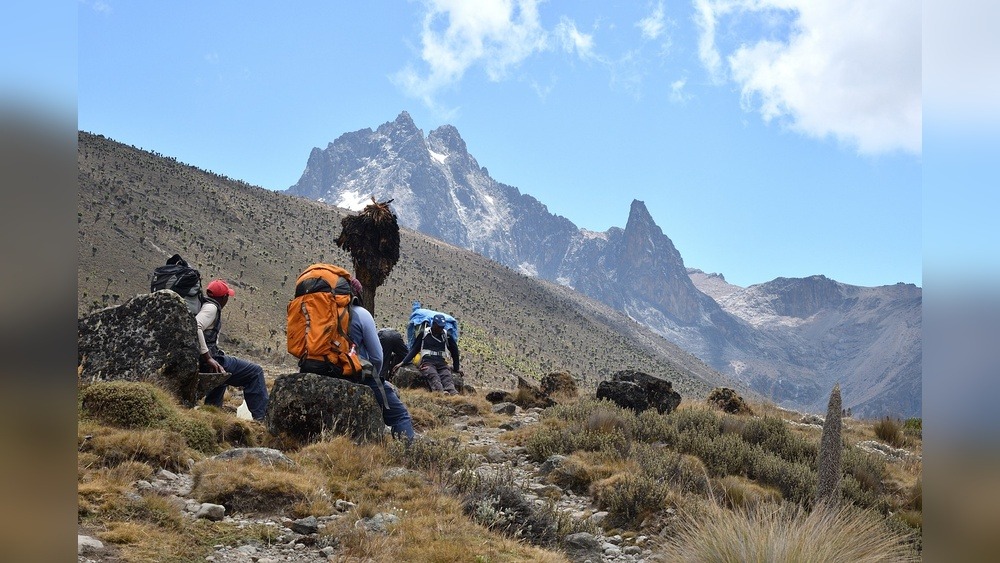 Mount Kongo Unveiled: A Hiker's Ultimate Guide