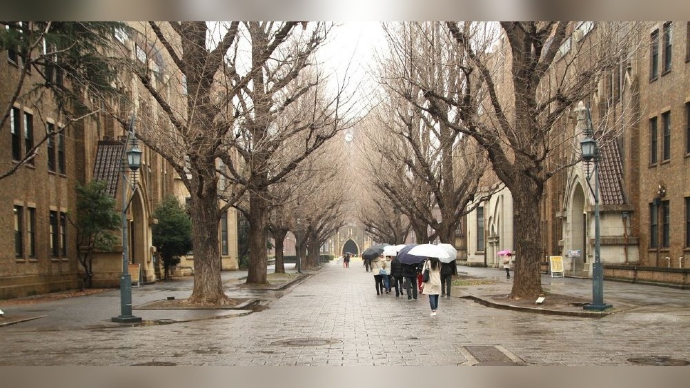 Requirements to Apply to Study in Japan: Ultimate Guide for Students
