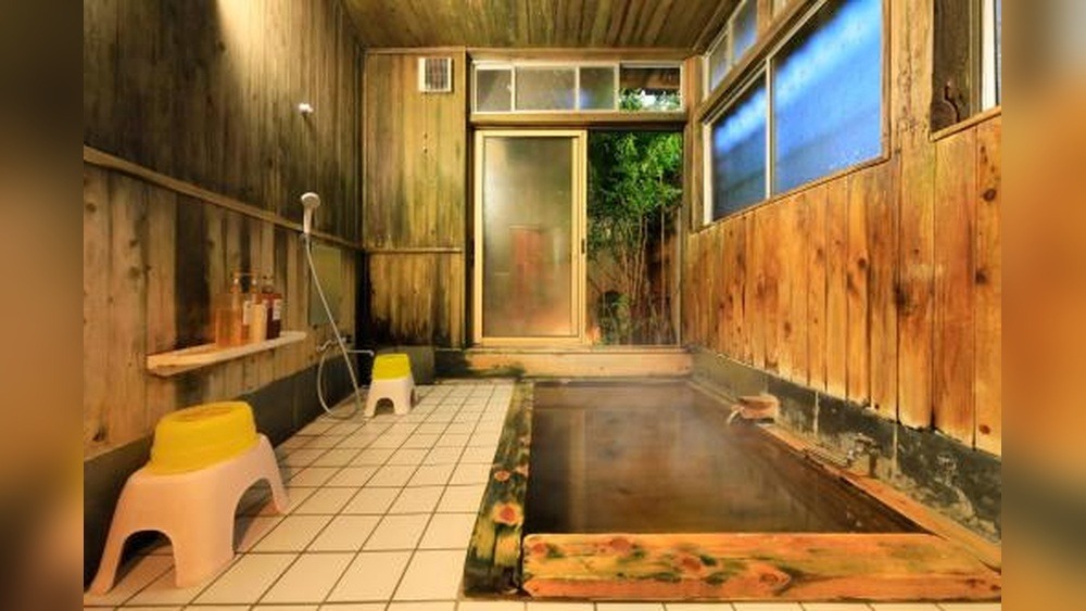 Seifuso Onsen Hotel: A Relaxing Retreat in the Mountains