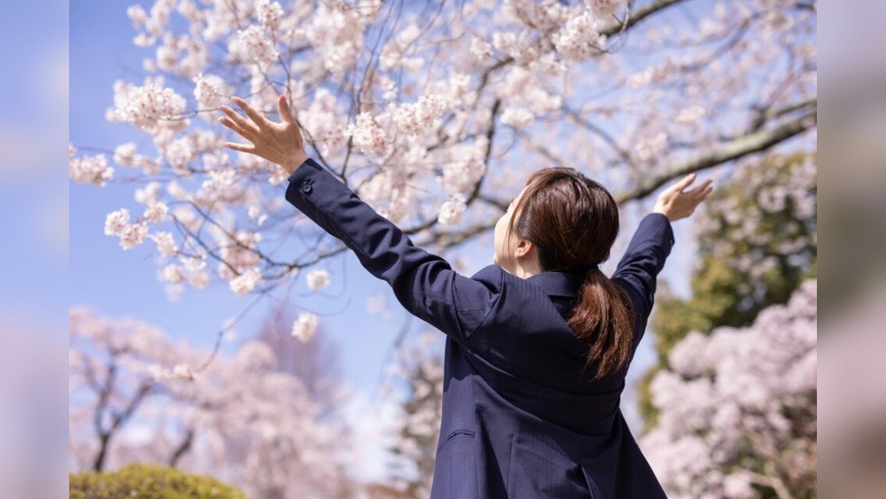 Study in Japan Without Knowing Japanese: A Complete Guide