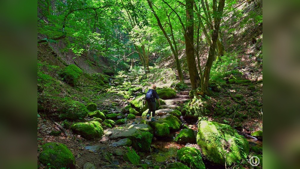 Trekking on Mount Zao: A Trailblazer's Journey