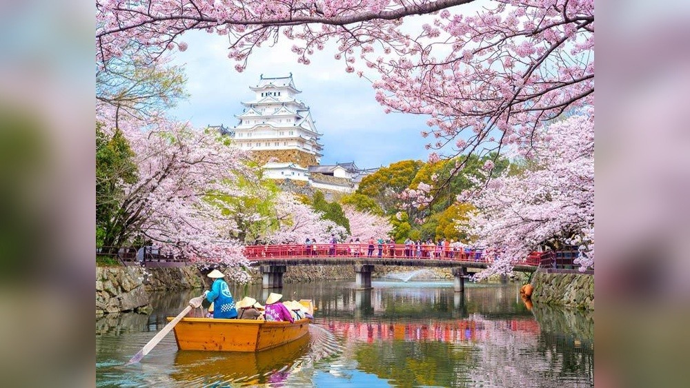 What Do I Need to Travel in Japan: Essential Tips
