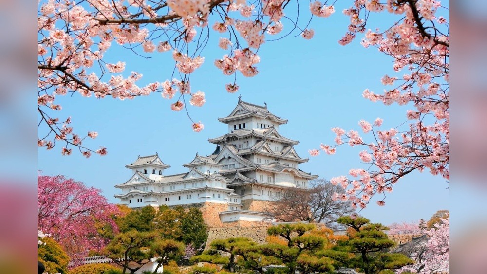 Best Books to Read While Traveling in Japan: Unwind & Explore