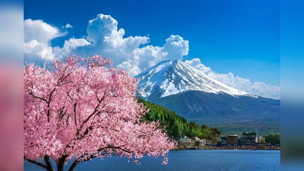 Best Month to Travel in Japan: Unveiling the Ideal Time!