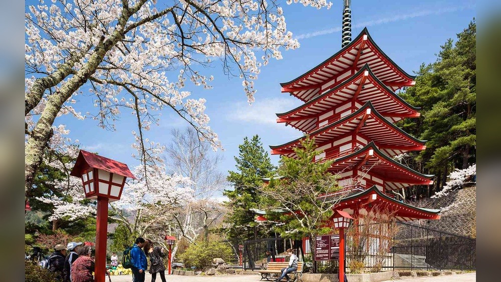 Best Place to Travel in Japan in February: Unveil Hidden Gems!