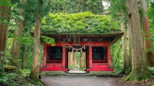 Best Places to Travel in Japan: Top Hidden Gems!