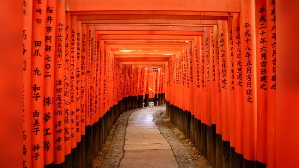 Best Travel Places in Japan: Top Must-See Destinations!