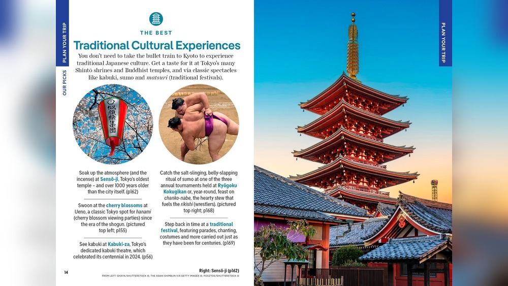 Brazil Festival in Japan: A Sizzling Cultural Fiesta!