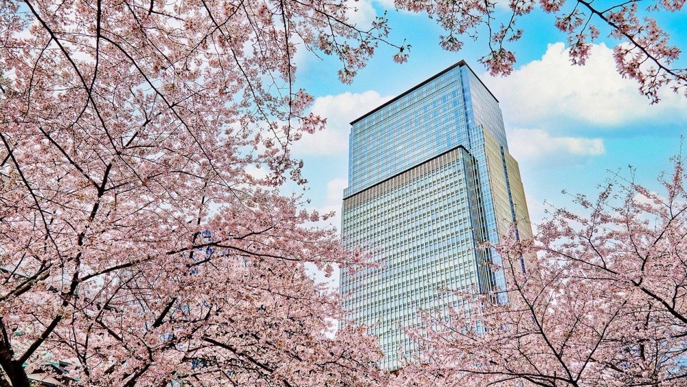 Chiyoda Sakura Festival: A Blooming Utopia in Tokyo