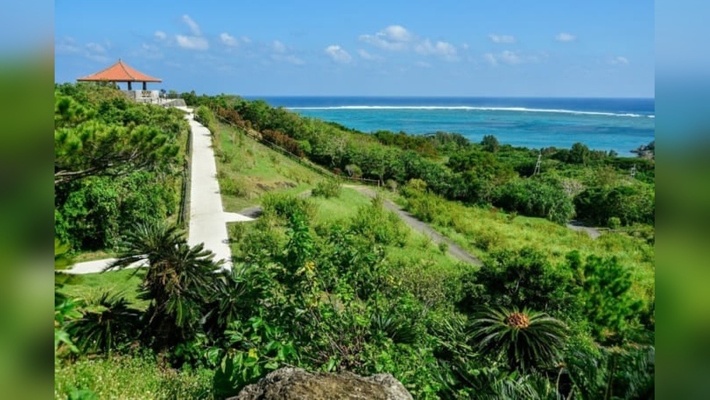 Ishigaki Segway Tour: Glide & Explore Tropical Delights!