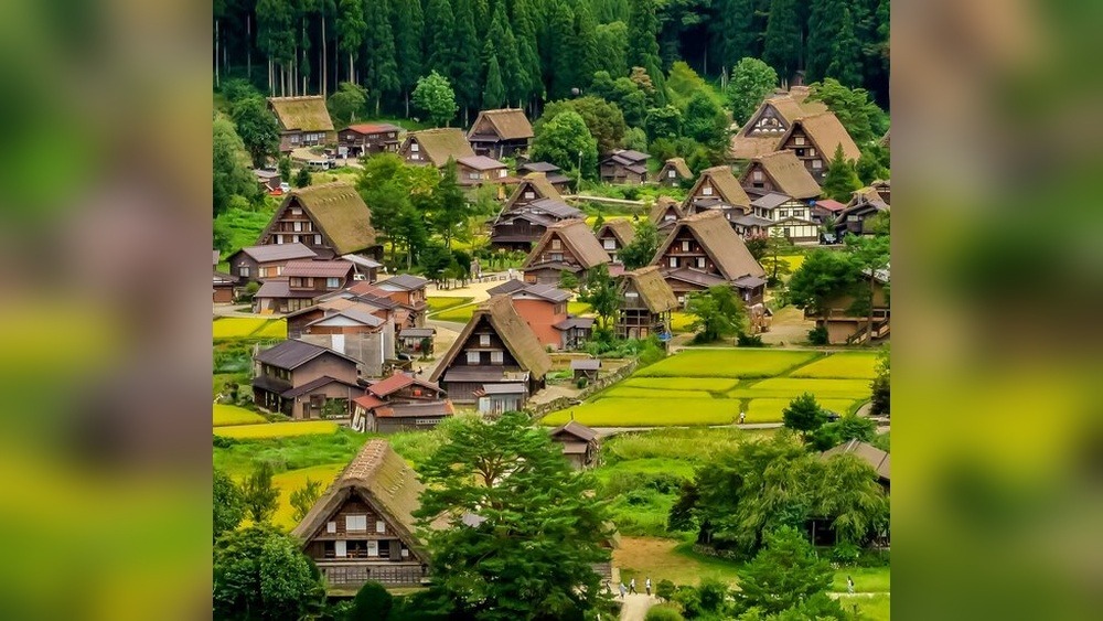 Laos Festival in Japan: A Cultural Extravaganza Unveiled