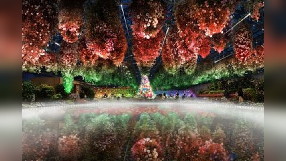 Mihamaen Lantern Festival: A Dazzling Night of Lights