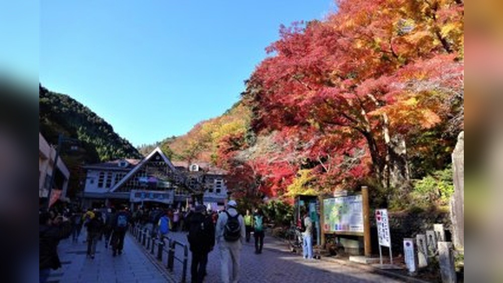 Mount Takao Autumn Leaves Festival: A Colorful Escape
