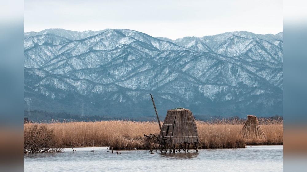 Niigata Festival Guide: Unveil the Magic & Traditions!