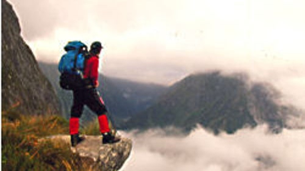 Riverhead Forest Hiking Tour: A Trailblazer's Guide