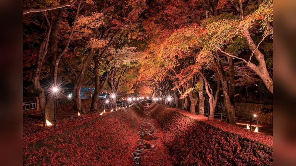 Shirakami Shrine Autumn Festival: A Seasonal Spectacle