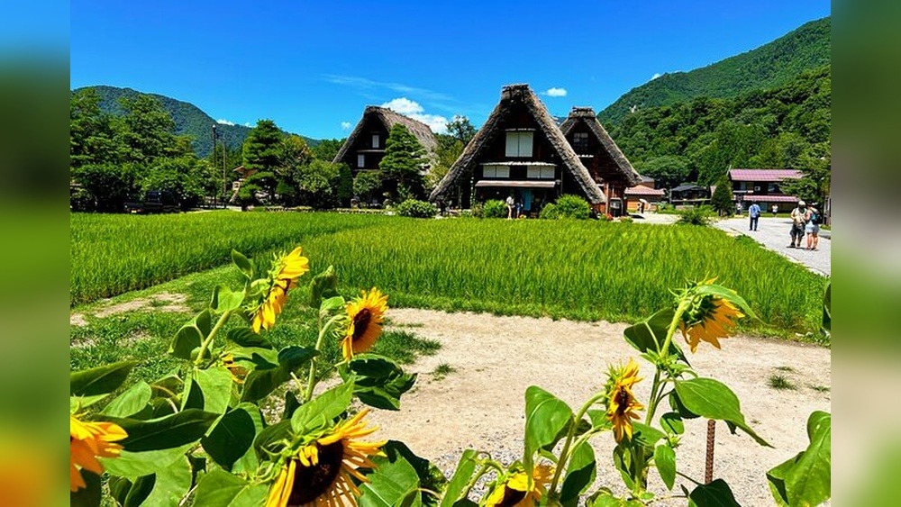 Takayama Craft Tour: A Journey into Artisanal Magic