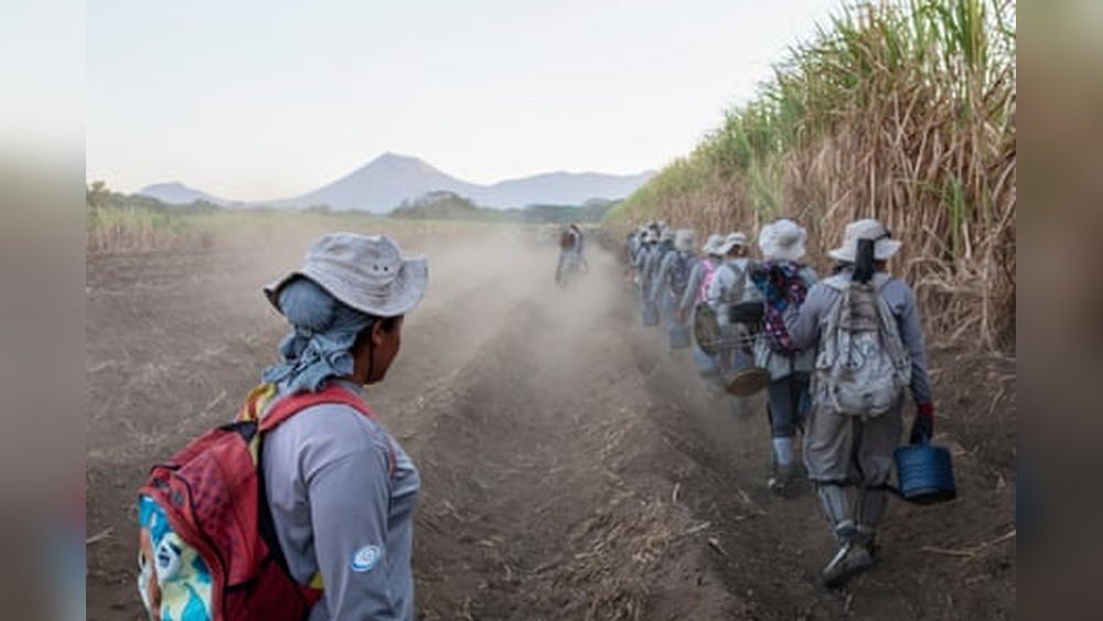 Travel Weekly Kate Hodal: Insights and Adventures