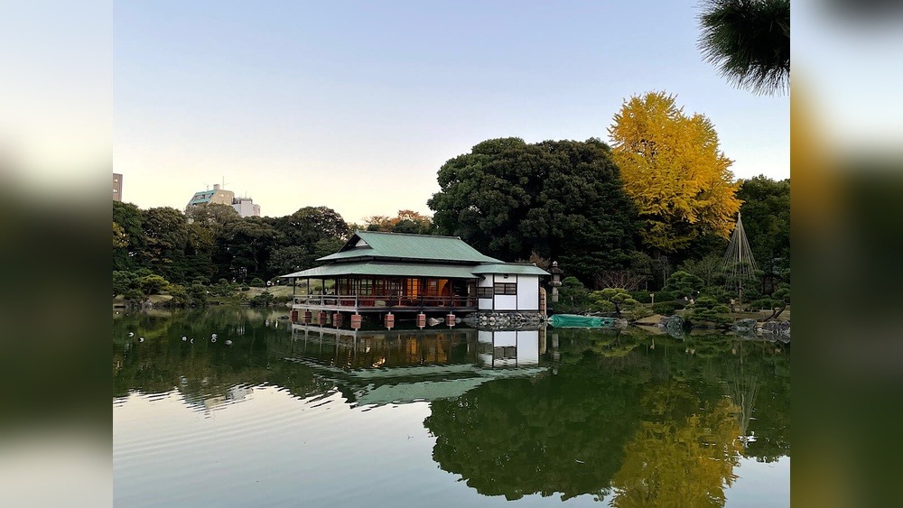 Ace Hotel in Japan: Uncover Tokyo's Hidden Gem!