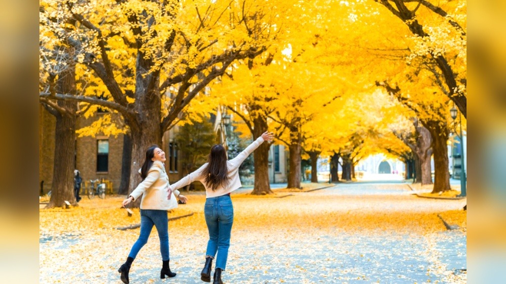 Aig Travel Insurance Japan: Your Ultimate Travel Safety Net