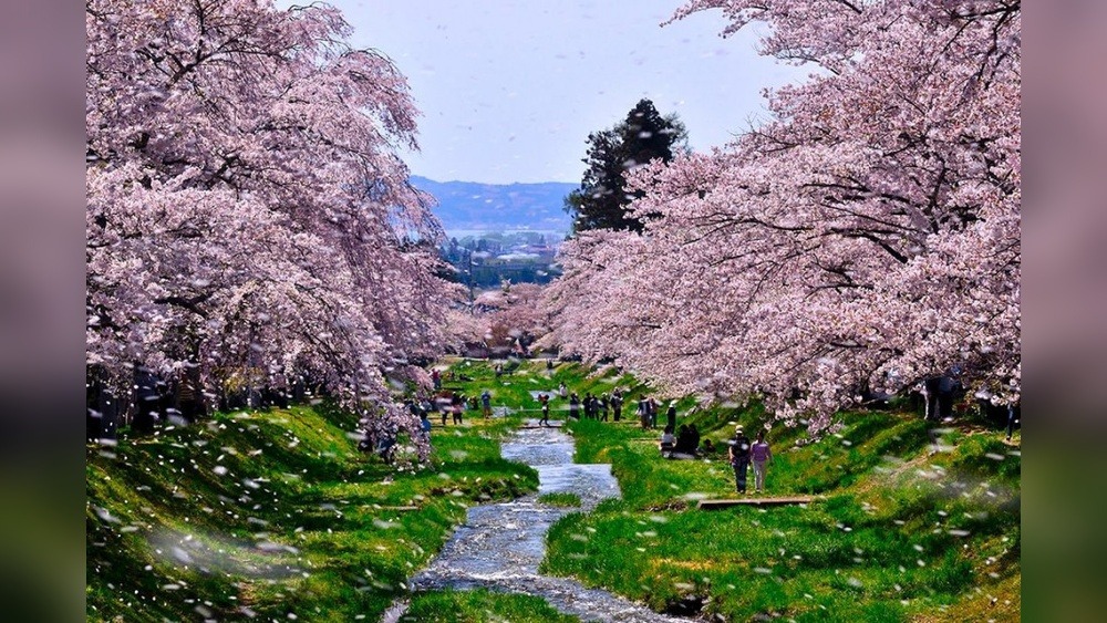 Aizu Wakamatsu New Palace Hotel: A Dream Stay Revealed