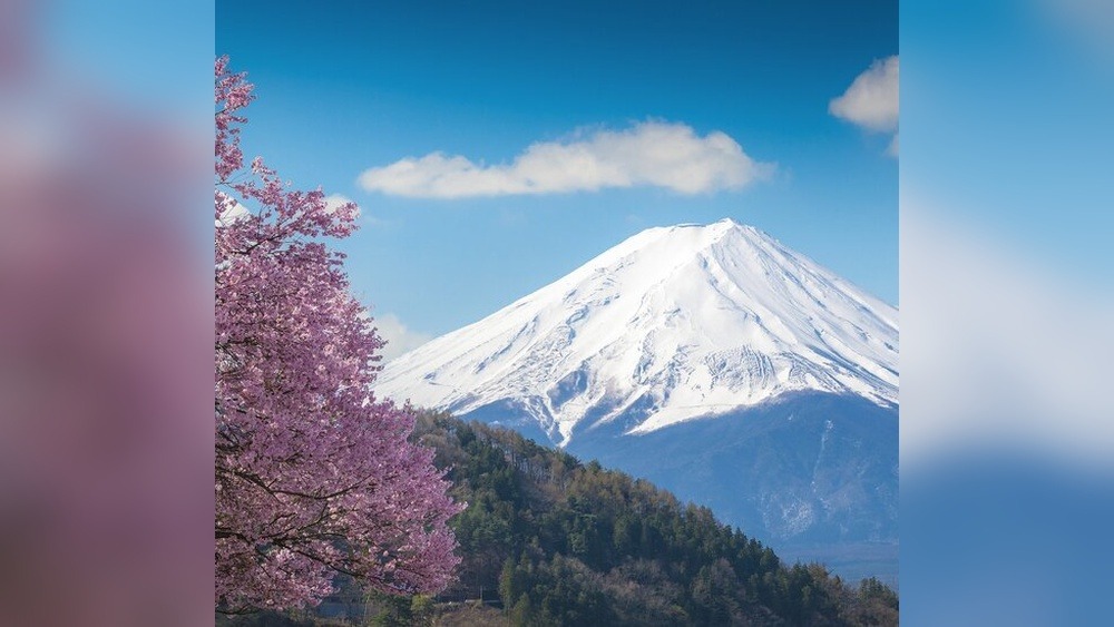 Best Time to Travel to Japan Tokyo: Seasons & Events Guide