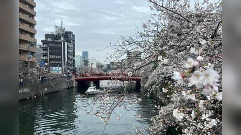 Choosing A Luxury Hotel In Yokohama's Minato Mirai: Top Picks