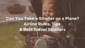 Flight from Alaska to Japan: Ultimate Travel Guide & Tips