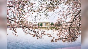 Flight Time from Washington DC to Tokyo Japan: Ultimate Travel Guide