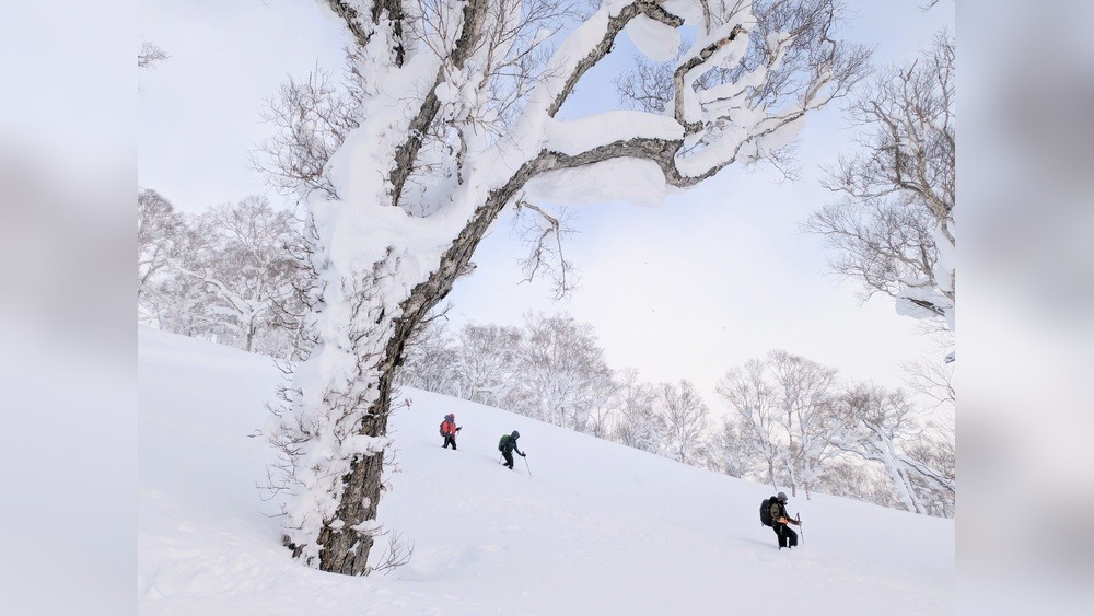 Japan Winter Travel Tips: Essential Guide for a Magical Trip