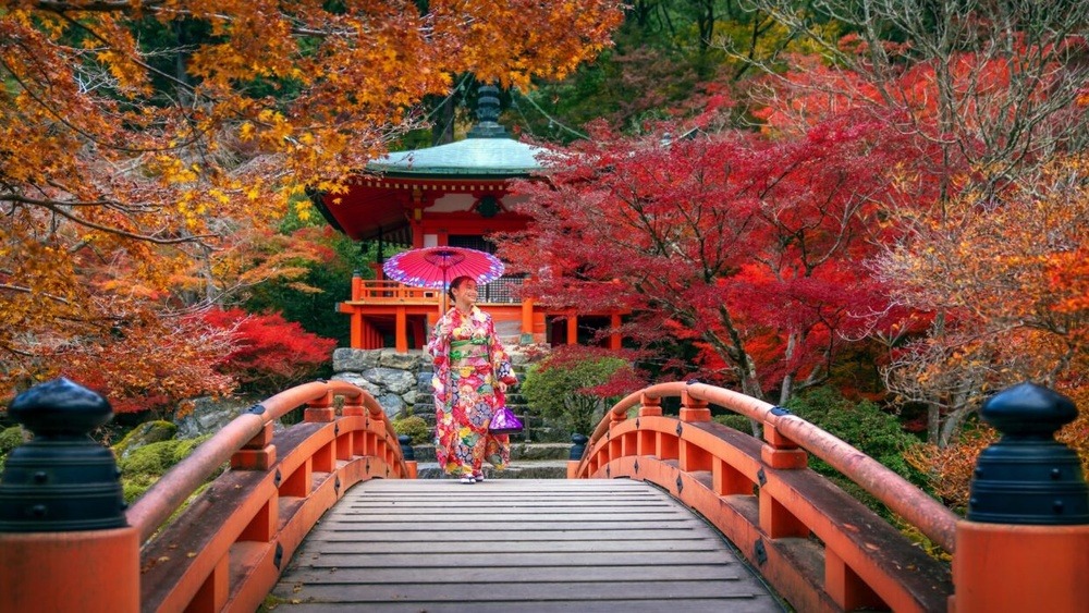 Kyoto Japan Hotels Luxury: Uncover the Ultimate Stays