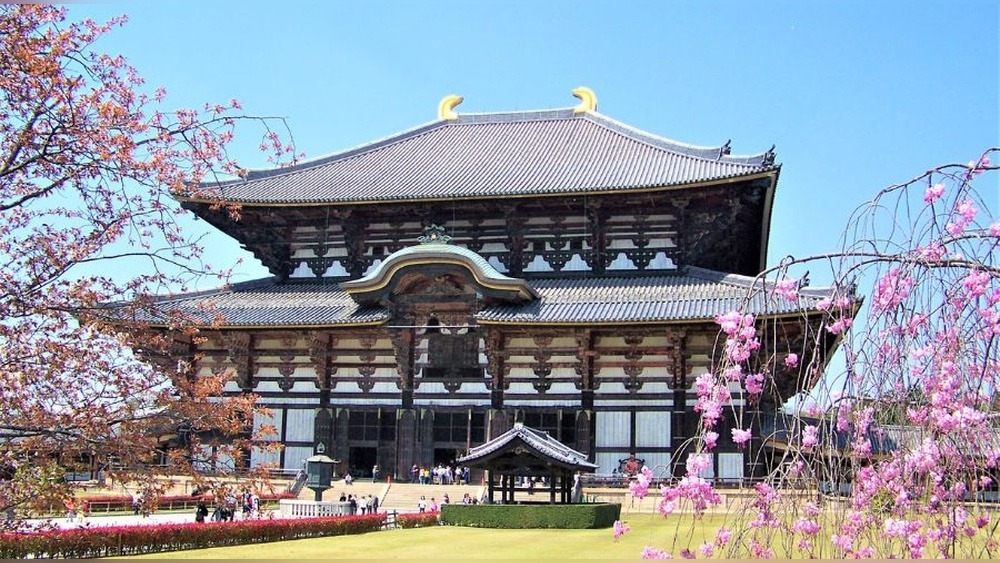 Nara Hotel Guide: Luxe Stays & Ancient Charms Unveiled