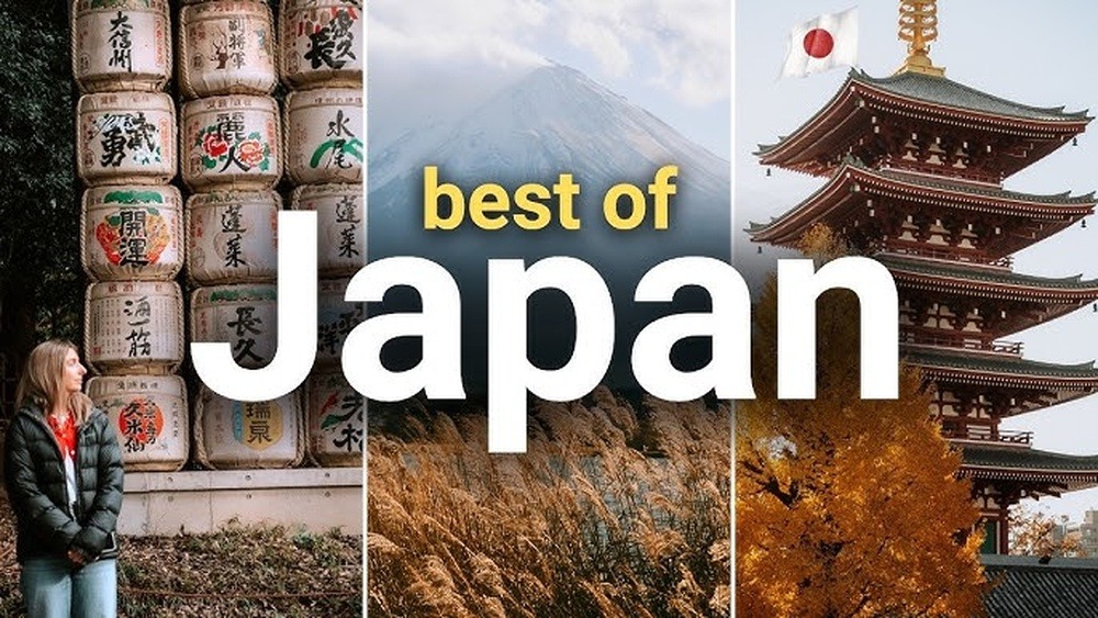 Should I Get Travel Insurance for Japan: Must-Know Tips