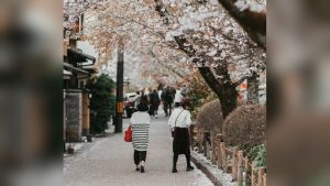 Toei Kyoto Studio Park Tripadvisor: Ultimate Visitor's Guide